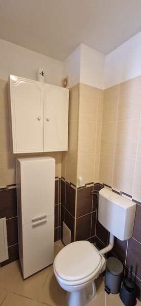 Floresti, str. Florilor